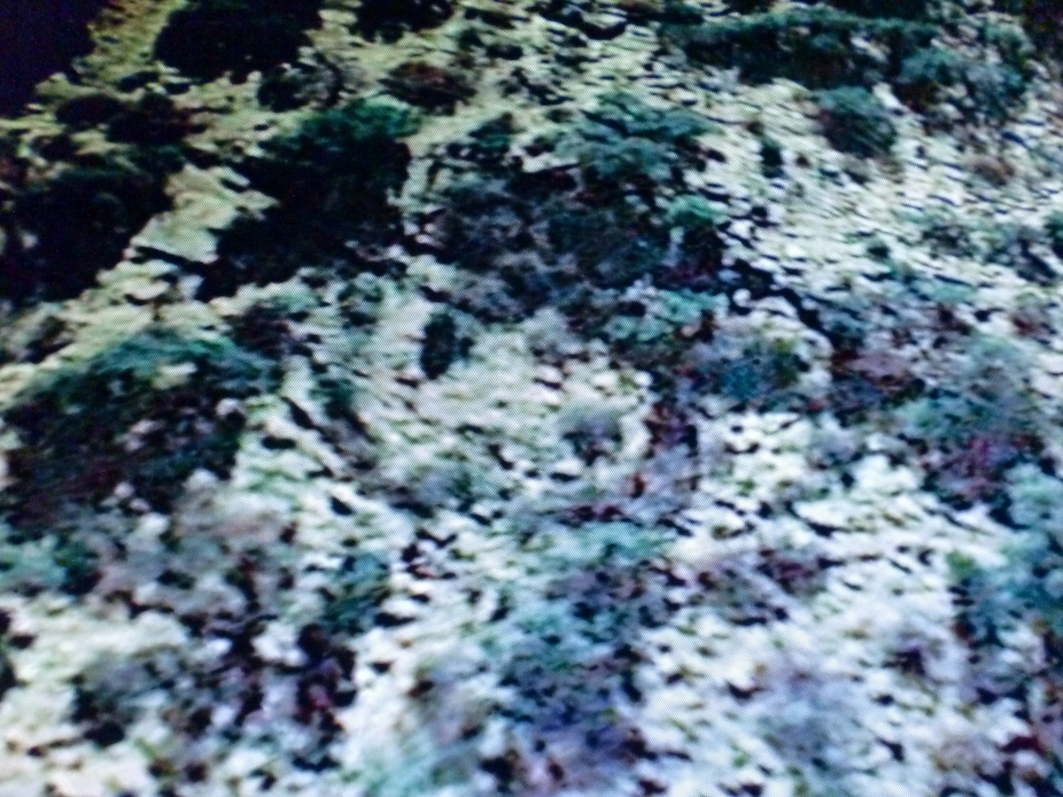 f:id:sun369:20210702024155j:plain