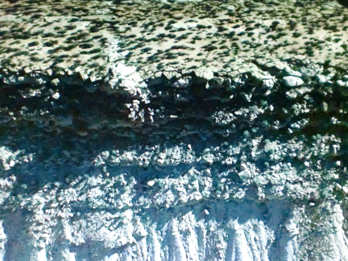 f:id:sun369:20210702024850j:plain
