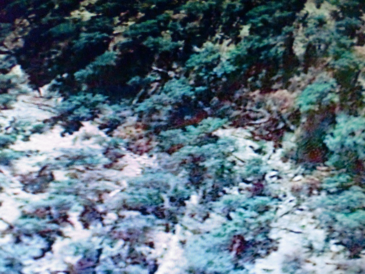 f:id:sun369:20210702030240j:plain