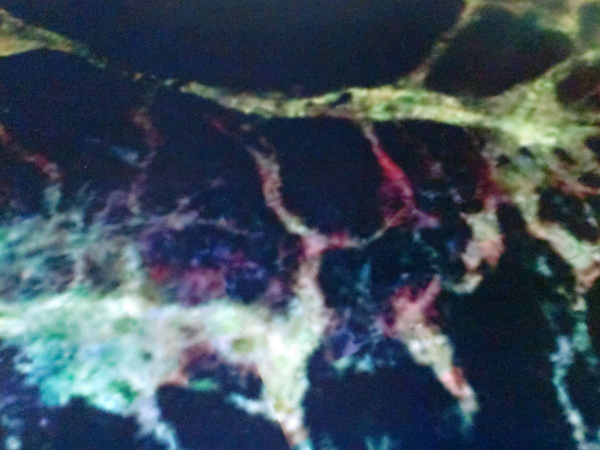 f:id:sun369:20210702040211j:plain