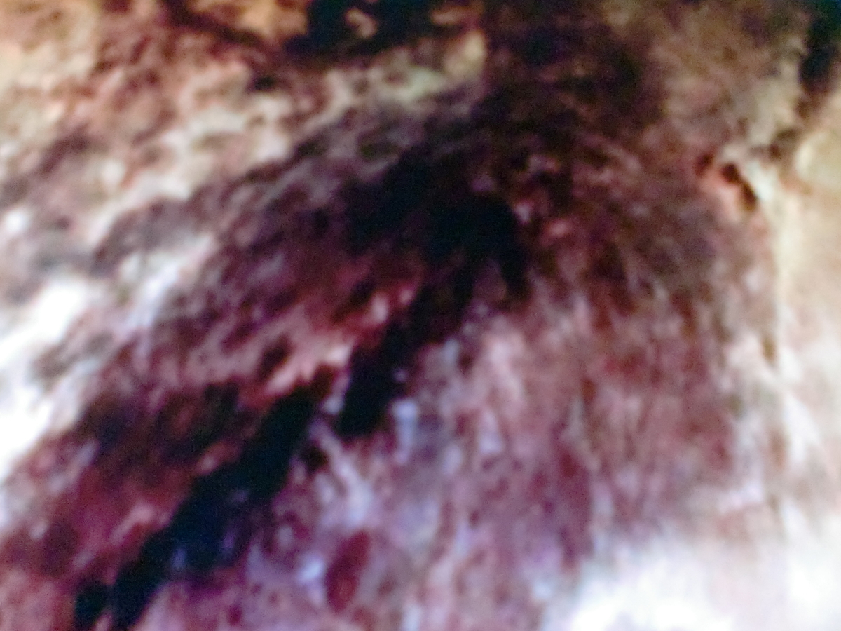 f:id:sun369:20210702040306j:plain