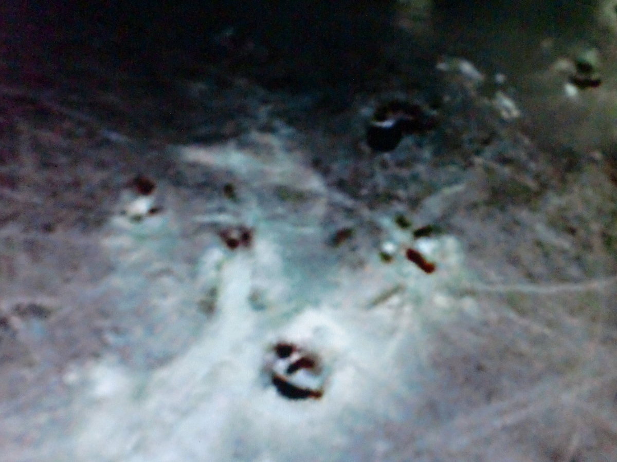 f:id:sun369:20210702040434j:plain