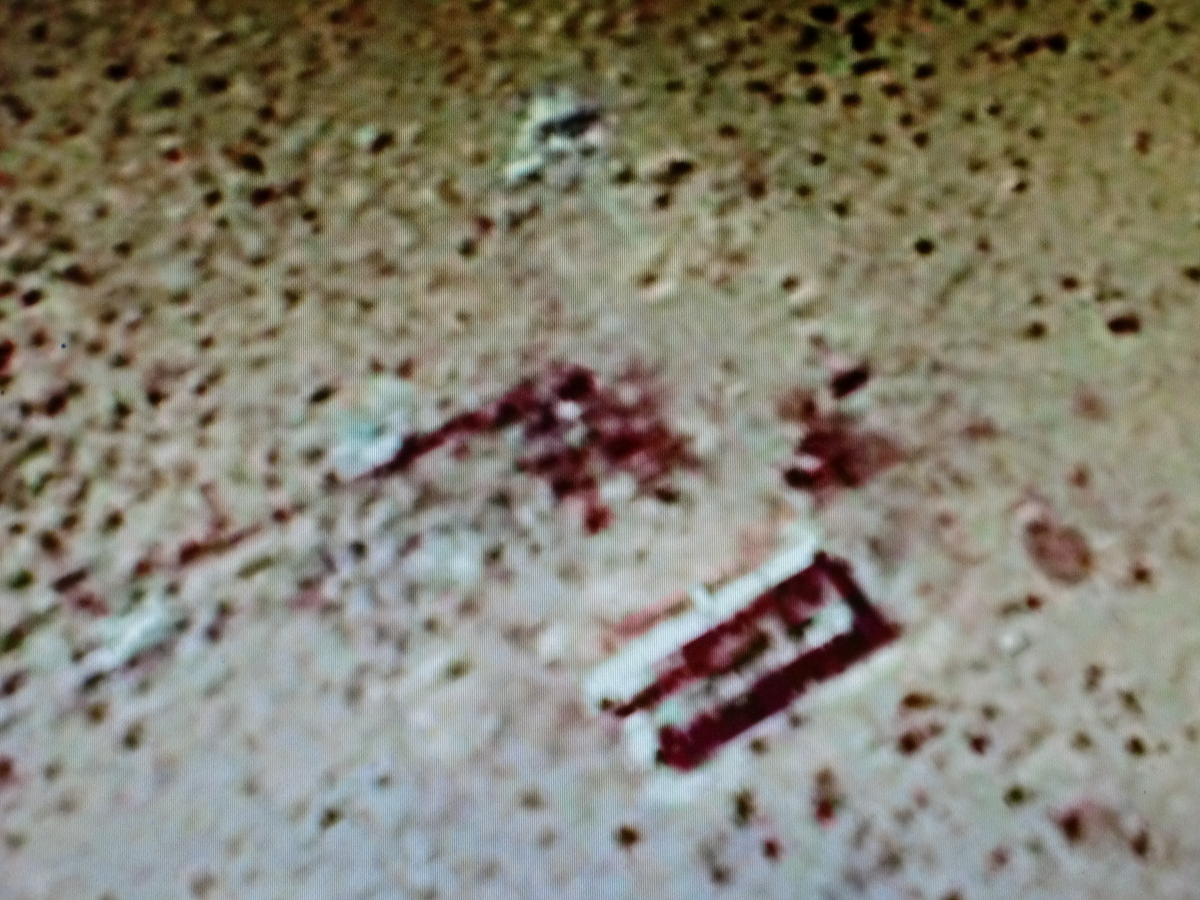 f:id:sun369:20210702043050j:plain