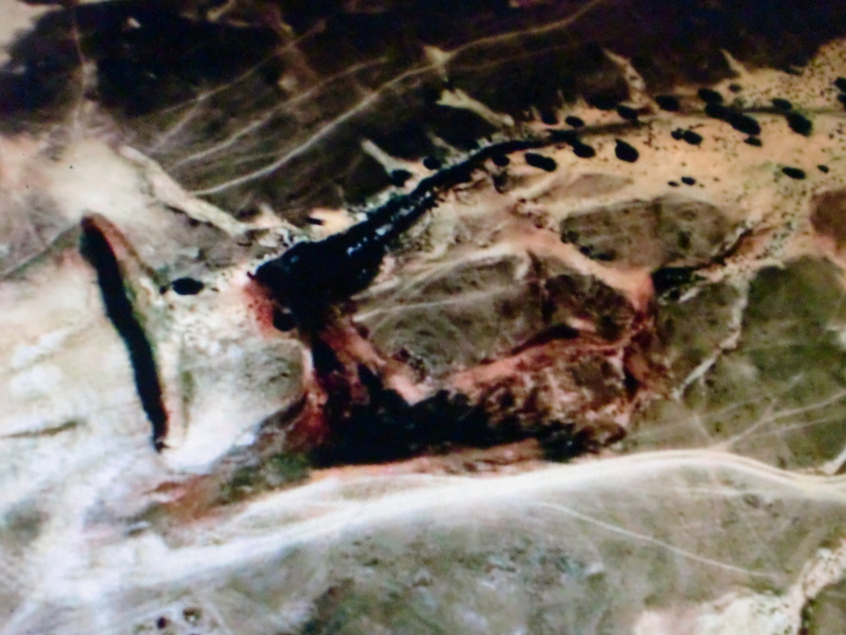 f:id:sun369:20210702045535j:plain