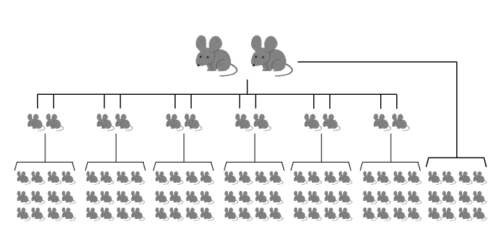 f:id:sun369:20210827090106j:plain