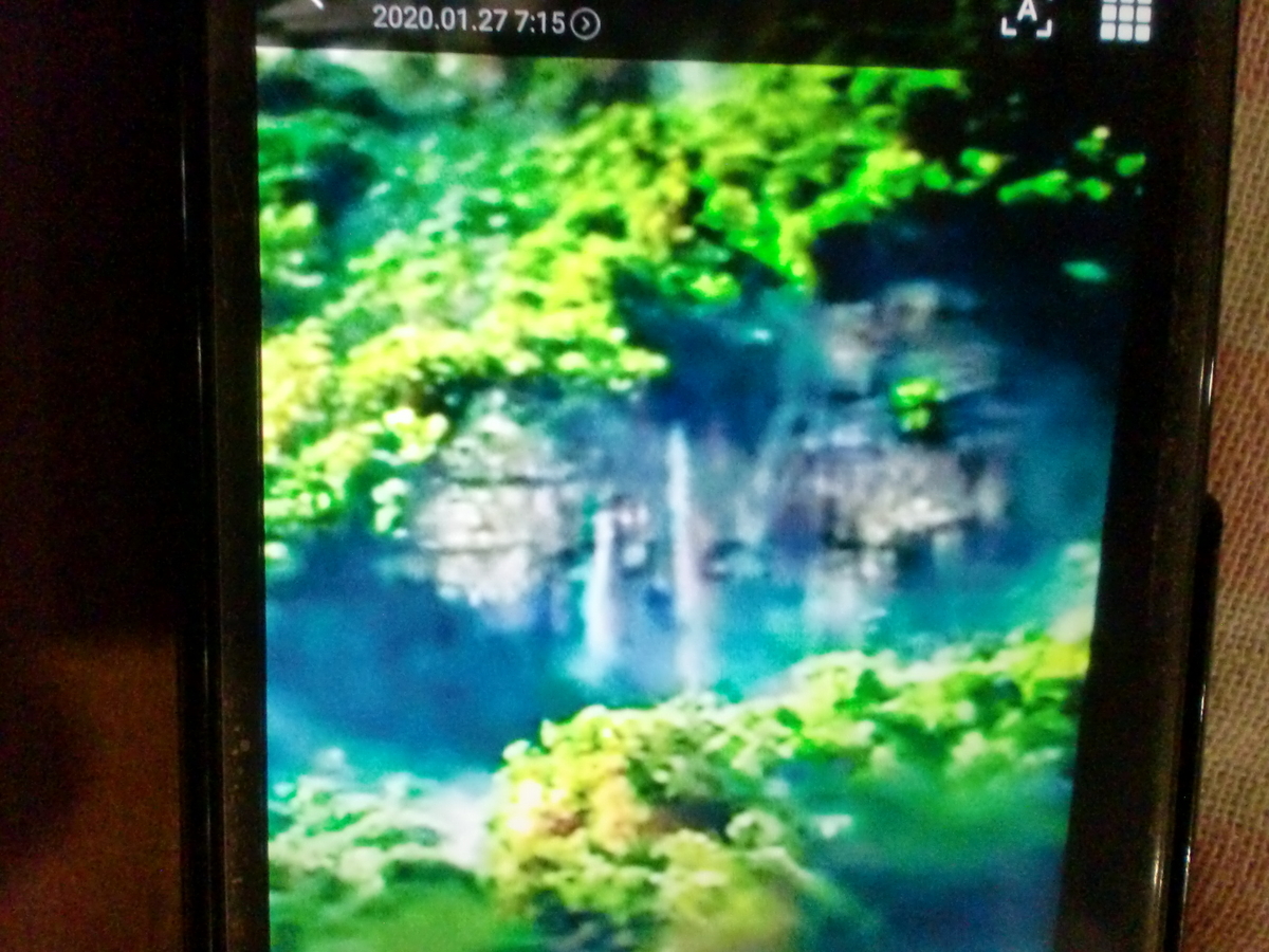 f:id:sun369:20210913163925j:plain
