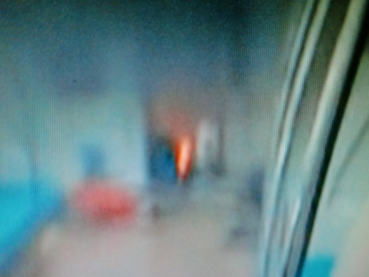 f:id:sun369:20211114180436j:plain