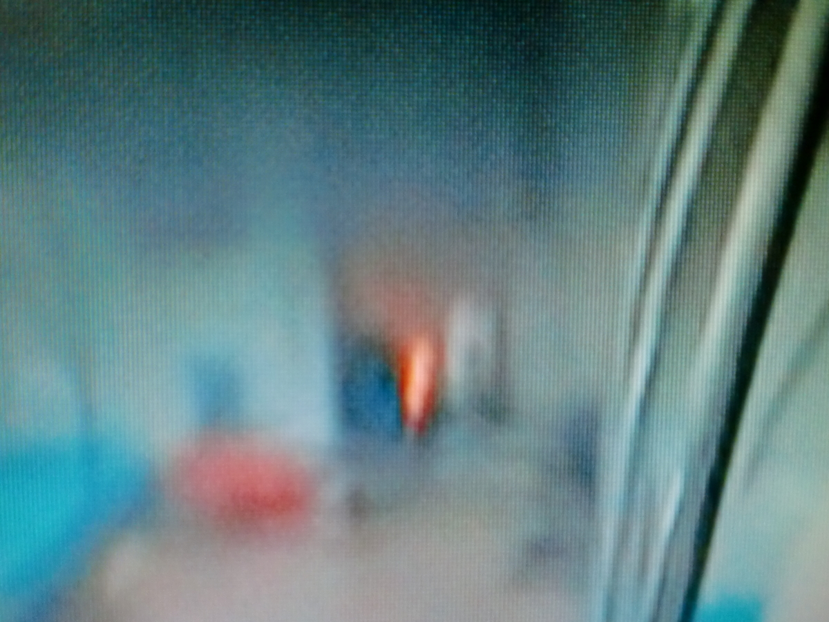 f:id:sun369:20211114180449j:plain