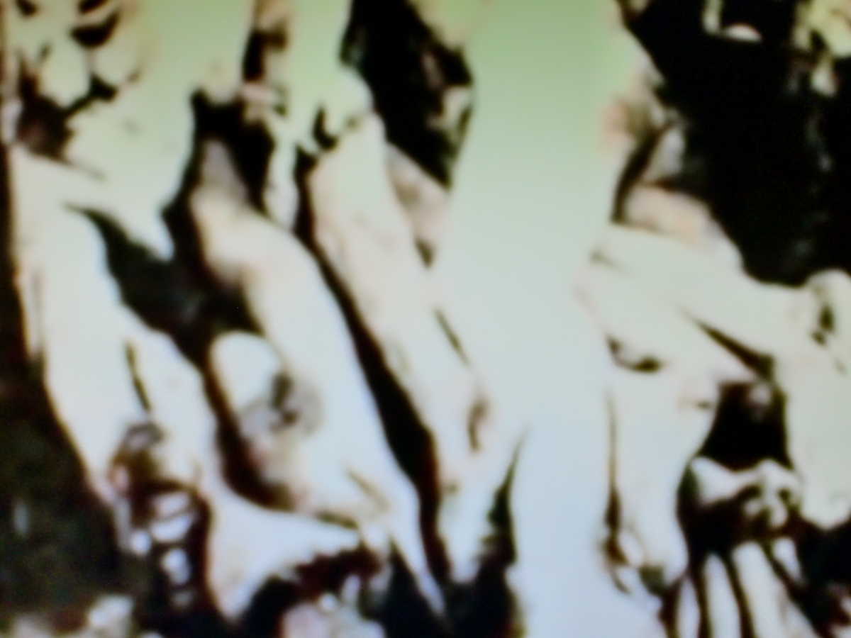 f:id:sun369:20211202114419j:plain