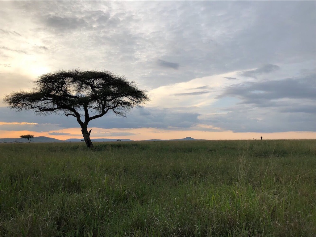 f:id:sun_trail:20190909231952j:image