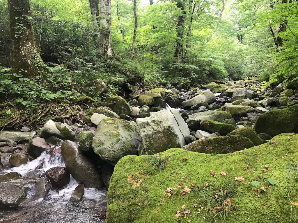 f:id:sun_trail:20191004233424j:image