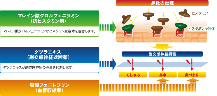 f:id:suna8com:20210310094446p:plain