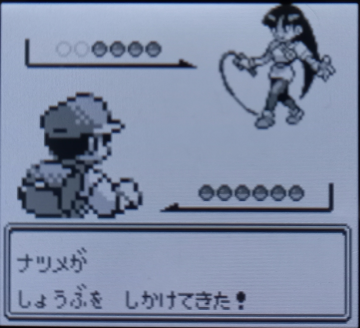 トキワシティとは ゲームの人気 最新記事を集めました はてな