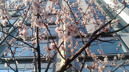f:id:sunabako:20080322161529j:image