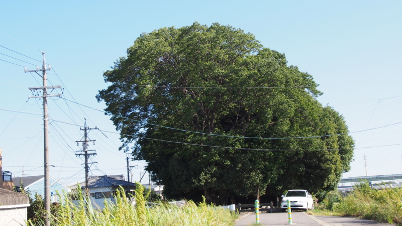 f:id:sunaburo:20130827214429j:image:w640 f:id:sunaburo:20130827214429j:image:w640