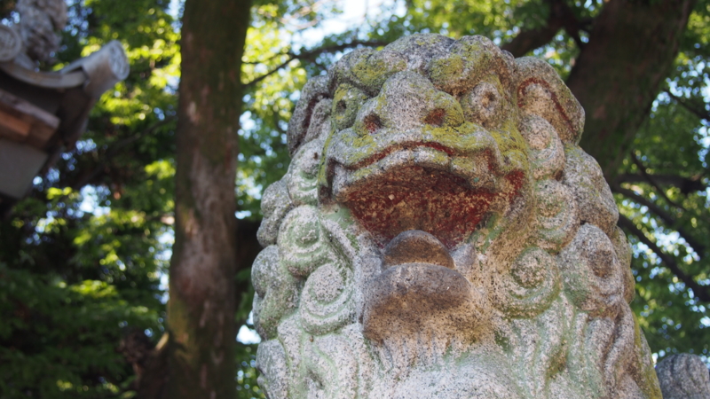 f:id:sunaburo:20130827214430j:image:w640 f:id:sunaburo:20130827214430j:image:w640