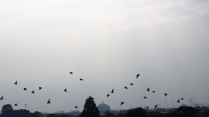f:id:sunaburo:20130830230610j:image:w640 f:id:sunaburo:20130830230610j:image:w640