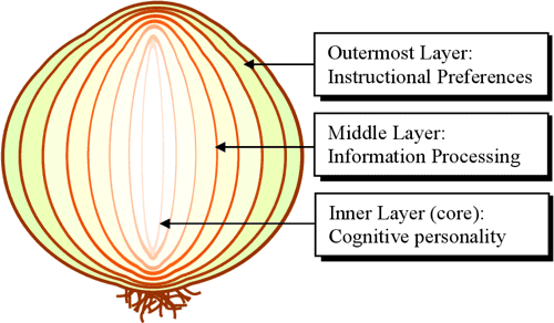 学習スタイルのオニオンモデル