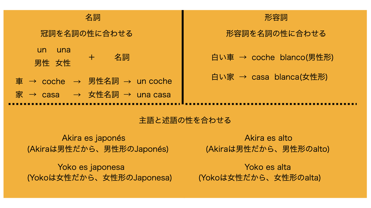 名詞や形容詞の性変化