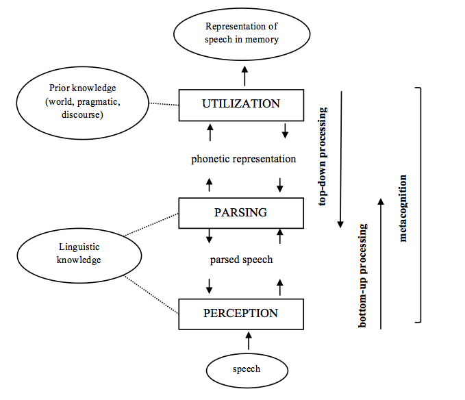 リスニング過程モデル