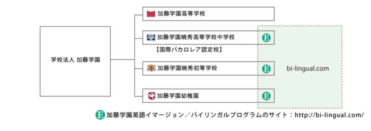 イマージョン教育