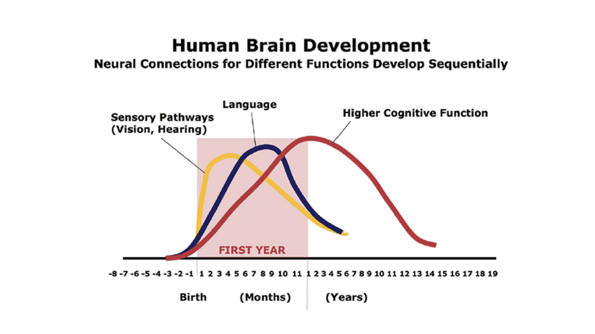 イマージョン教育とは？ メリット・デメリットを解説 小学校での失敗例・英語学習への効果とは！？ - ポリグロットライフ | 言語まなび∞ラボ