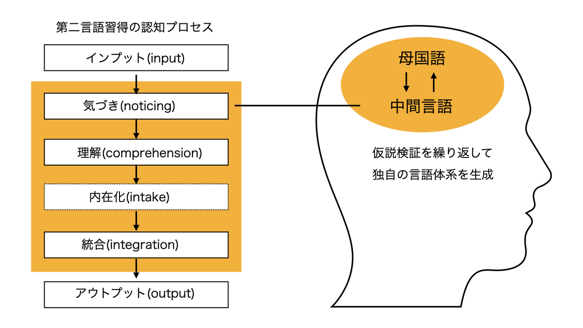 第二言語習得のプロセス