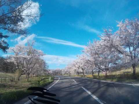 f:id:sunafukintan:20160506163553j:plain f:id:sunafukintan:20160506163553j:plain