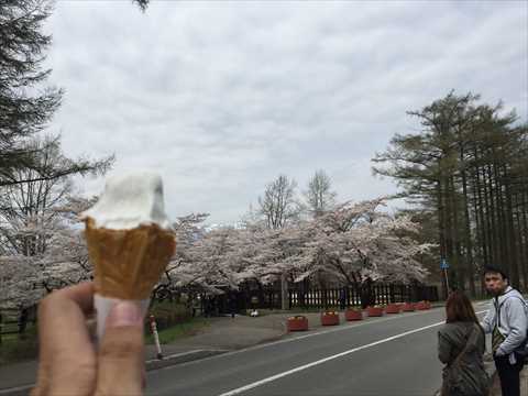 f:id:sunafukintan:20160506163606j:plain f:id:sunafukintan:20160506163606j:plain