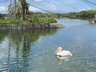 引きこもり専業主婦 すなこの日々  【山口県】ときわ公園で”リアル謎解きゲーム”をしてきました