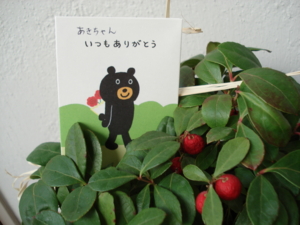 f:id:sunandmoon:20101126102903j:image