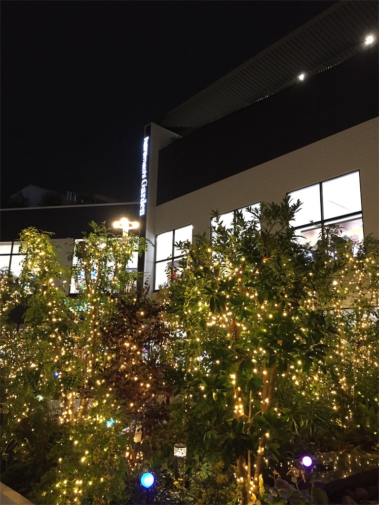 f:id:sunandmoon:20161229074727j:image