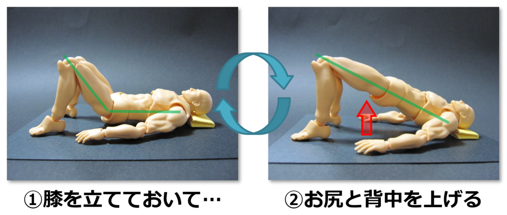 f:id:sunao-hiroba:20190130141135p:plain f:id:sunao-hiroba:20190130141135p:plain