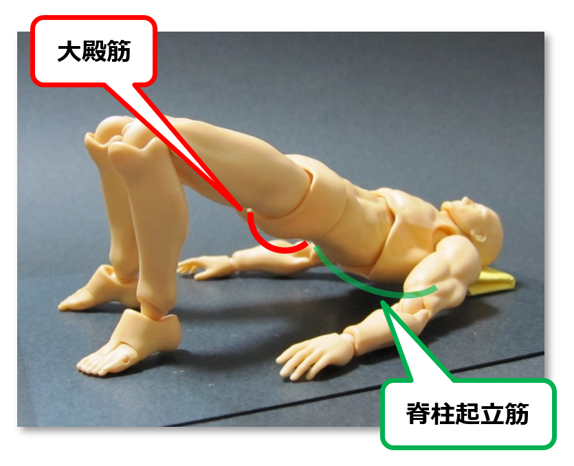 f:id:sunao-hiroba:20190130143020p:plain f:id:sunao-hiroba:20190130143020p:plain