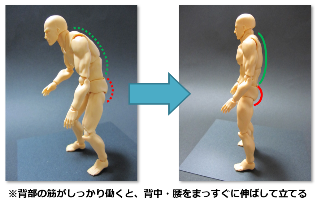 f:id:sunao-hiroba:20190130143537p:plain f:id:sunao-hiroba:20190130143537p:plain