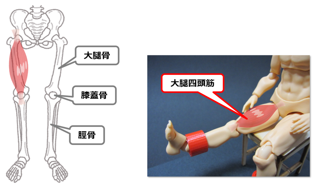 f:id:sunao-hiroba:20190223191723p:plain f:id:sunao-hiroba:20190223191723p:plain