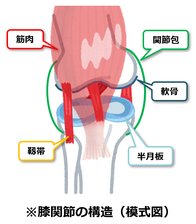 f:id:sunao-hiroba:20190223191906p:plain f:id:sunao-hiroba:20190223191906p:plain
