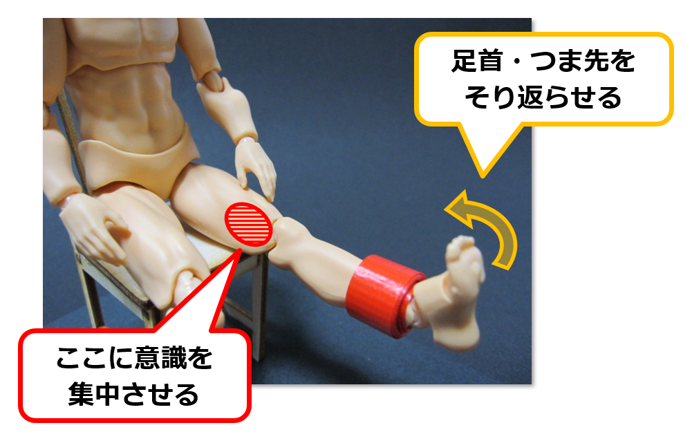 f:id:sunao-hiroba:20190223193445p:plain f:id:sunao-hiroba:20190223193445p:plain