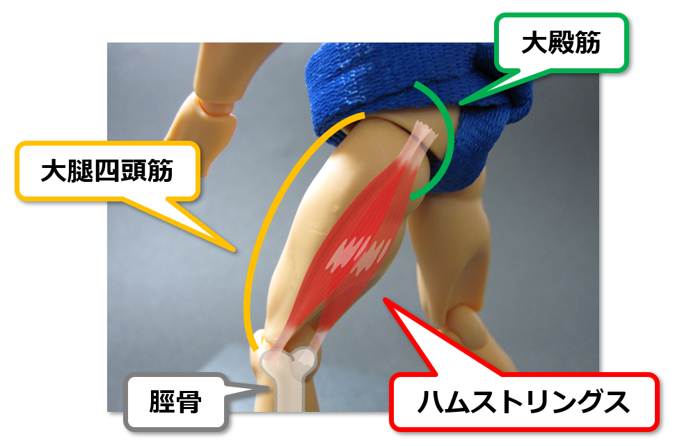 f:id:sunao-hiroba:20190412212840p:plain f:id:sunao-hiroba:20190412212840p:plain