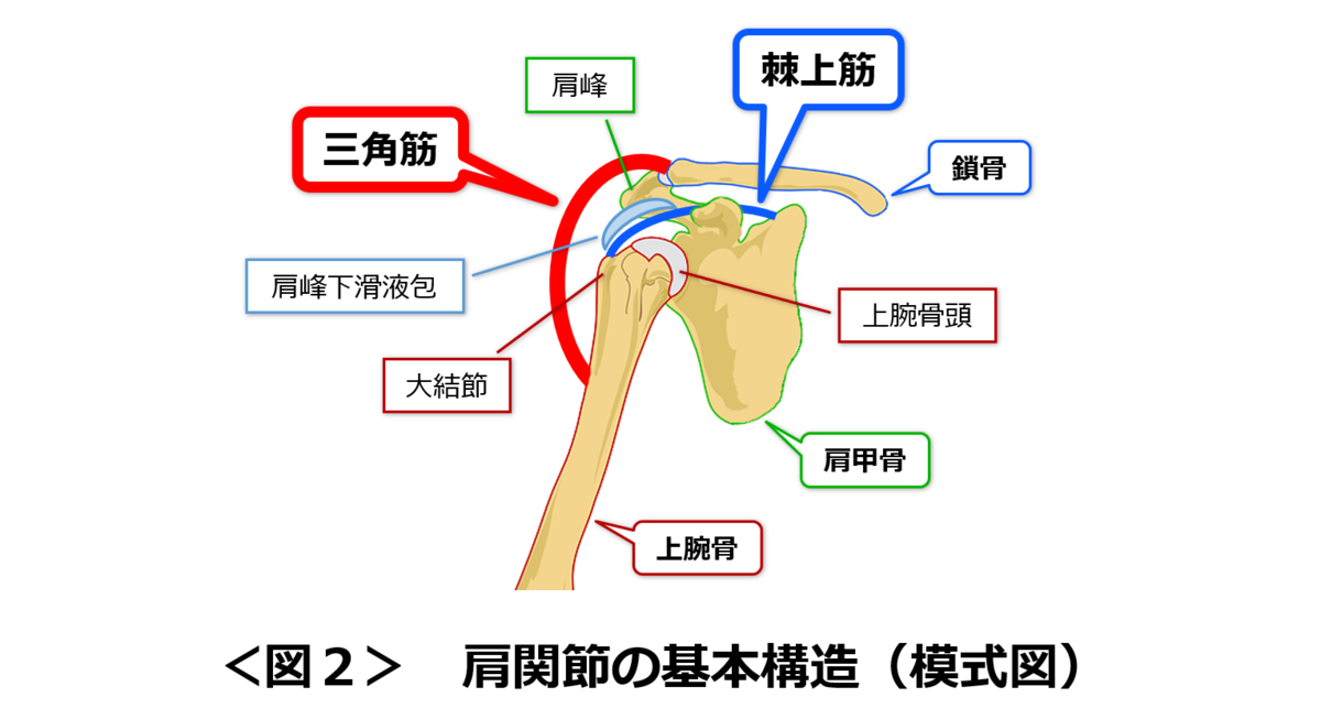 f:id:sunao-hiroba:20200911211124p:plain