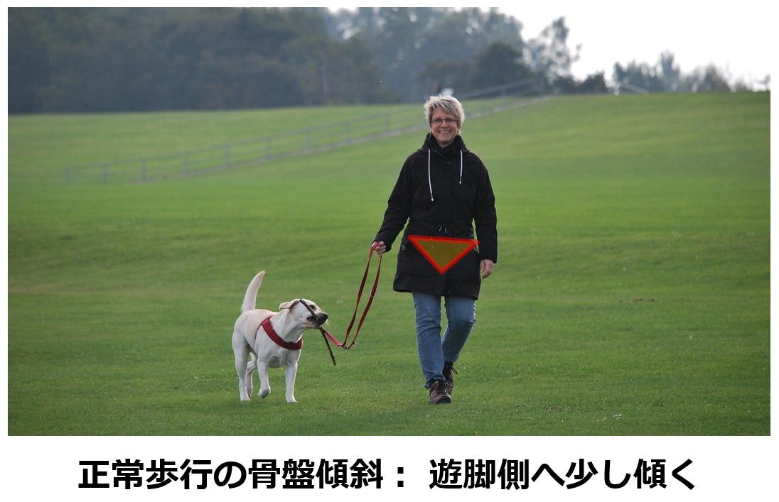 f:id:sunao-hiroba:20210424112543p:plain