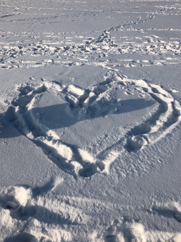 f:id:sunaometaldeath:20190125211950j:image