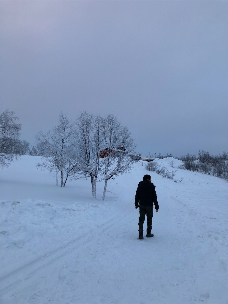 f:id:sunaometaldeath:20190125213450j:image