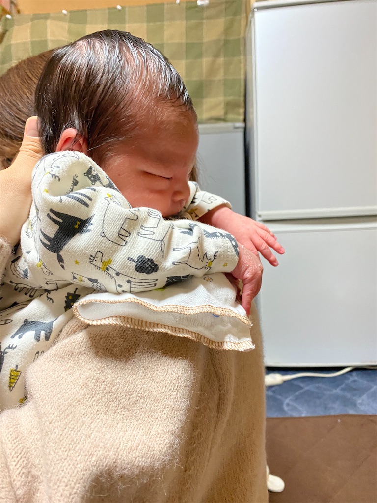 f:id:sunaometaldeath:20210124082457j:image