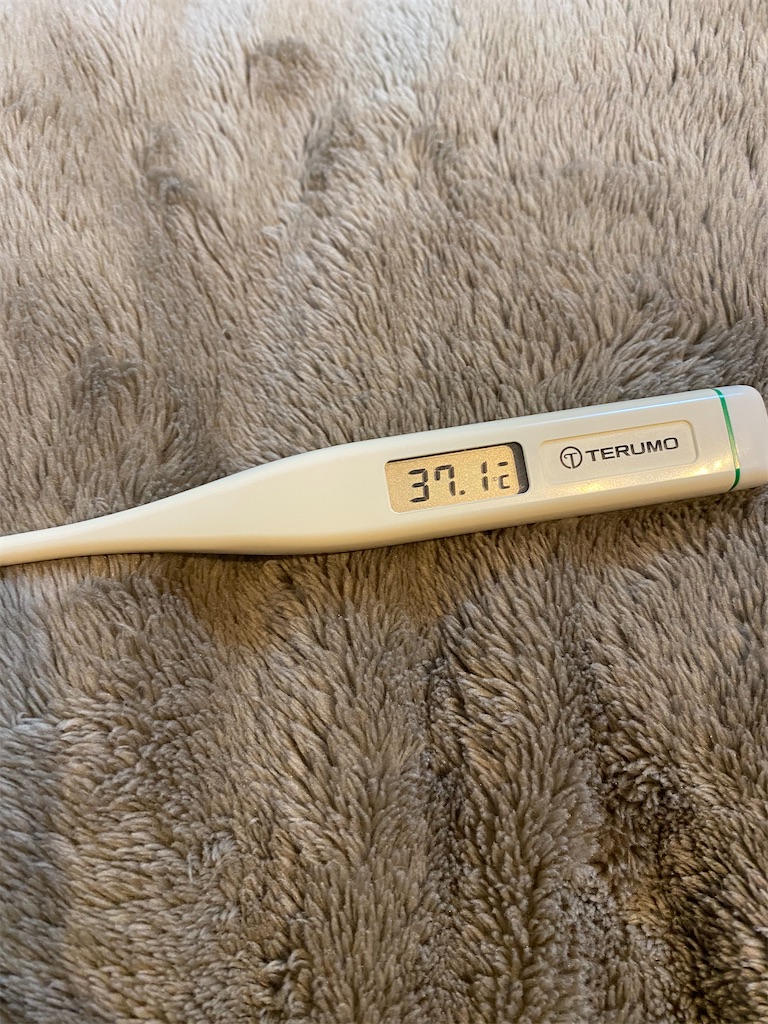 f:id:sunaometaldeath:20210126174413j:image