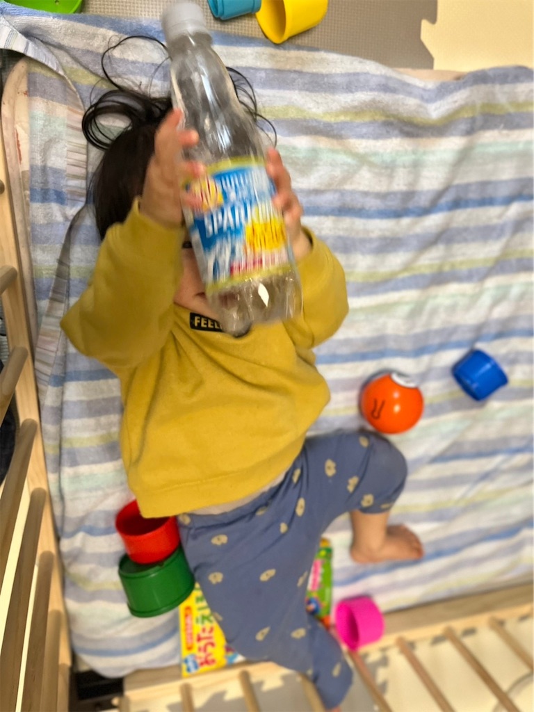 f:id:sunaometaldeath:20220203123350j:image