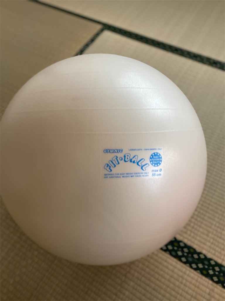 バランスボール ギムニクカラーボール65 ブルー Φ65cm ダンノ(DANNO) バランスボール ギムニクカラーボール65 ブルー Φ65CM