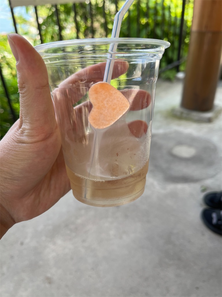 f:id:sunaometaldeath:20220628153914j:image