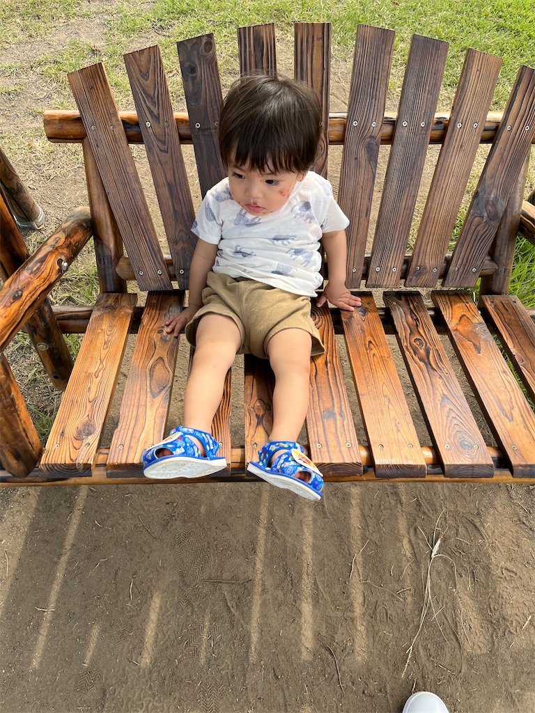 f:id:sunaometaldeath:20220828084341j:image