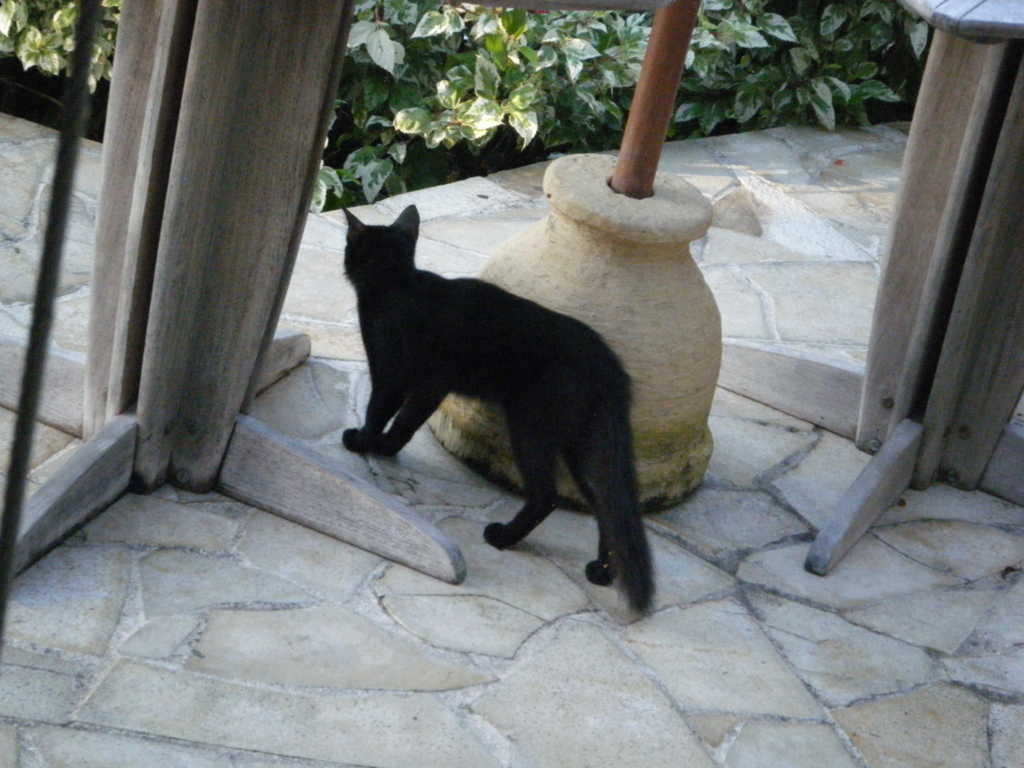 f:id:sunaowamuteki:20180323210312j:plain